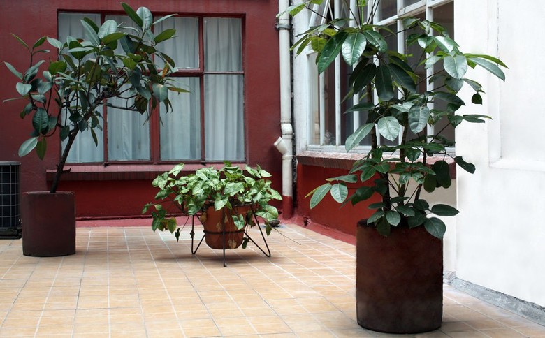 Hotel Virreyes