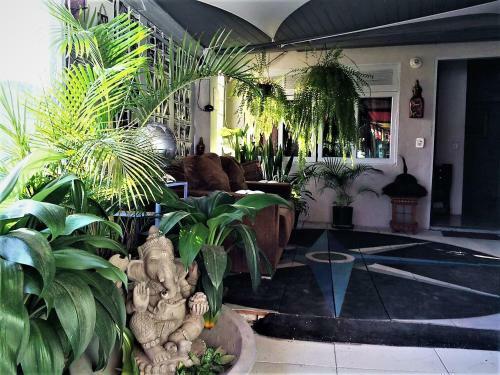 Hostel Lobo Inn - Buzios