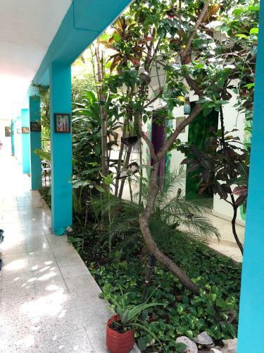 Hotel Posada Edem