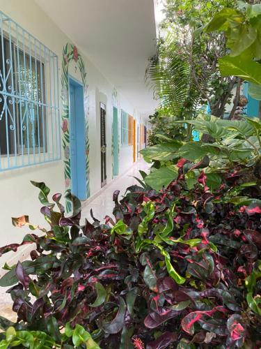 Hotel Posada Edem