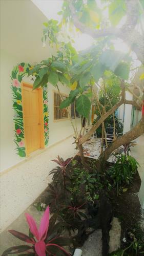 Hotel Posada Edem