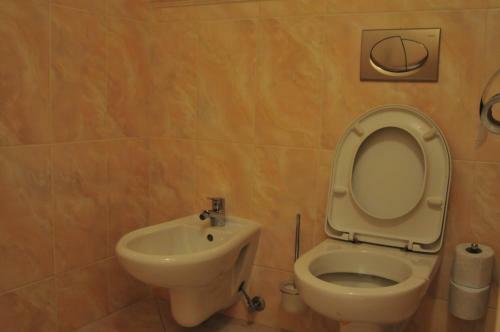 Hotel Pegas Brno