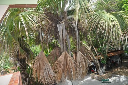 Hotel Pousada Para�so Das �guas