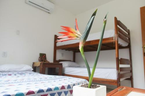 Belem Hostel