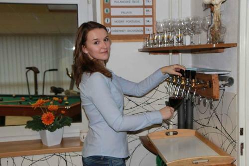 Bed & Breakfast Penzion Brno