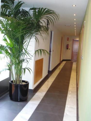 Archybal Apartamentos Tur�sticos Y Suites