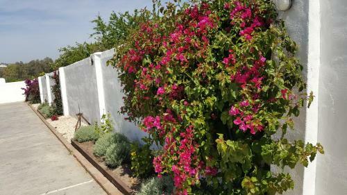 Hostal La Posada Del Duende