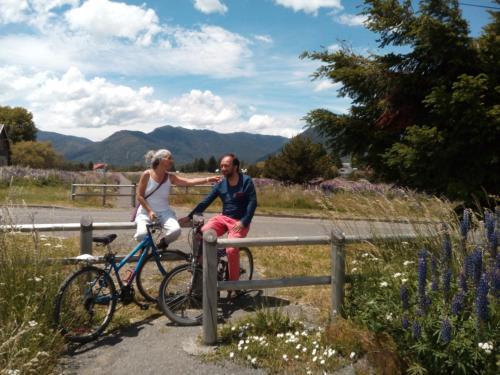 Lodge Caba�as Newenp�ll�