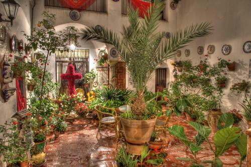 Hotel Rinc�n De Las Nieves