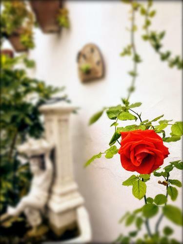 Hotel Rinc�n De Las Nieves