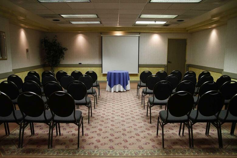 Viscount Suite Hotel
