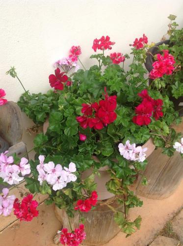Hostal Pousada Komkaf� - Zimmer Frei