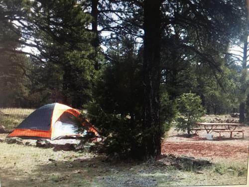The Canyon Motel & Rv Park