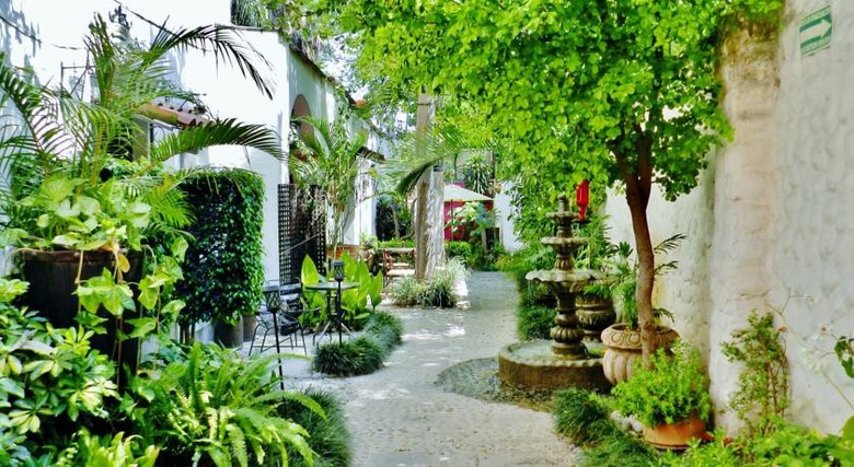 Rosa Morada Bed & Breakfast