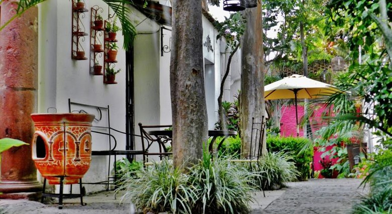 Rosa Morada Bed & Breakfast