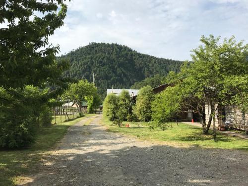 Hostal Huilonelfuy