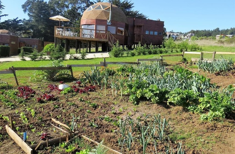 Lodge Pichilemu Domos