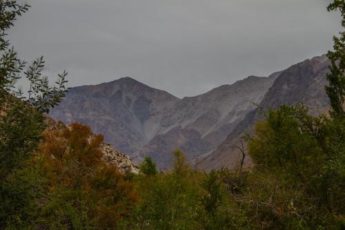 Indomito Elqui