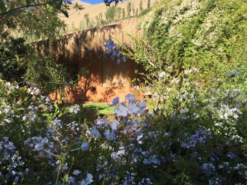 Bed & Breakfast Refugio Misterios De Elqui