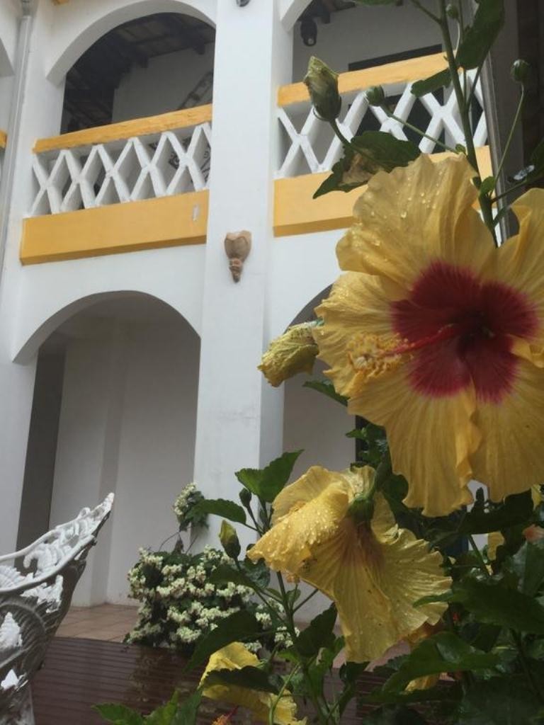 Hostal Pousada Abaet�