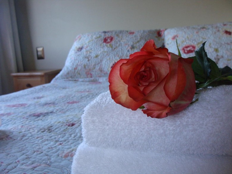Sue�os De Sur B&B