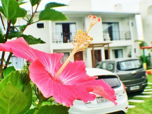Hostal Residencial Colibri