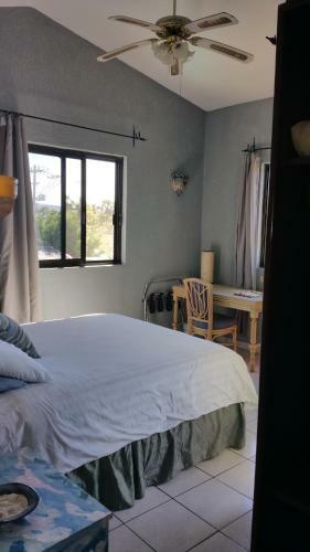 Bed & Breakfast Posada Colibri