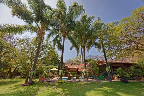 Bed & Breakfast Casa Navacoyan