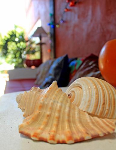 Hostal Pousada Villaggio Assis
