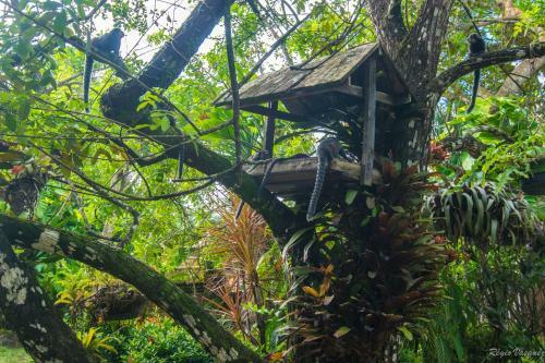 Posada Pousada Atl�ntica
