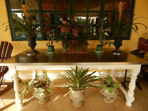 Hostal Pousada Quinta Do Alto