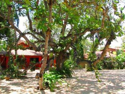 Hostal Pousada Caju