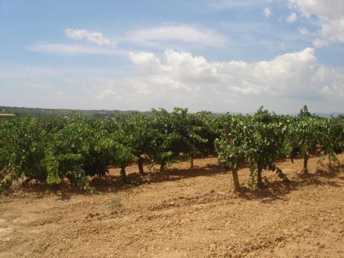 Agroturisme Cal Jeroni