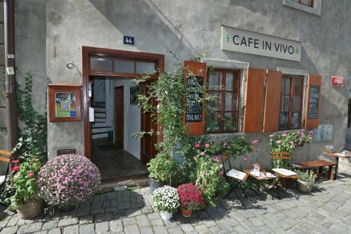 Apartment Soukenicka 44