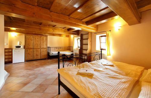 Hostal Pension U Mr�zk?