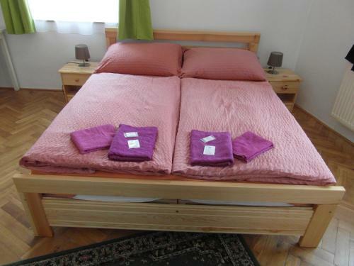 Hostal Pension U Soudu