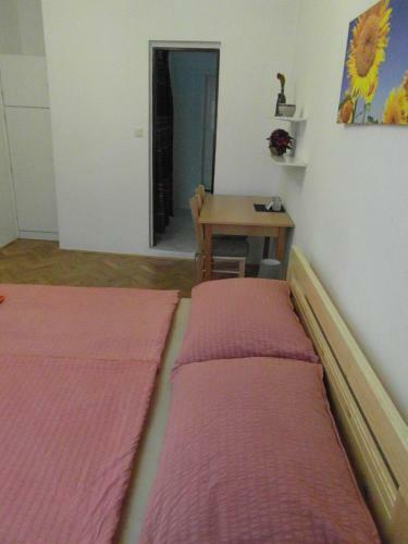 Hostal Pension U Soudu