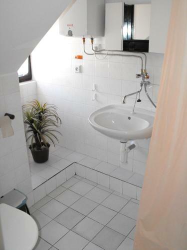 Hostal Pension U Soudu