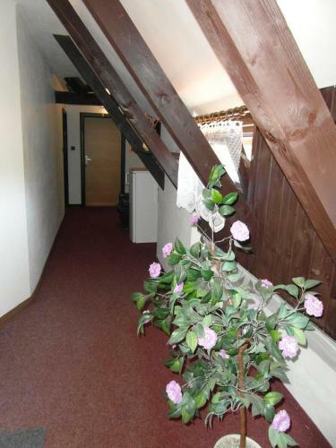 Hostal Pension U Soudu