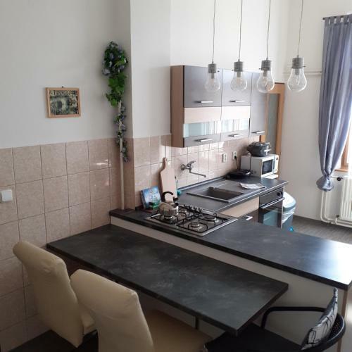 Apartma Franti?kovy L�zn?