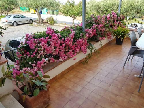 Hostal Ondina