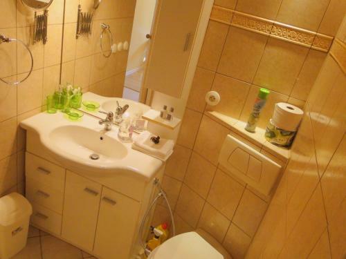 Vitezna 20 Apartment