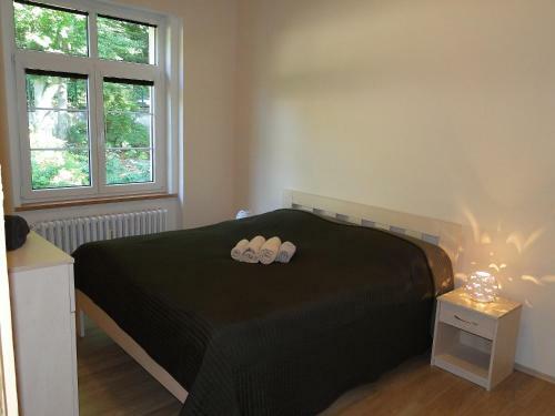 Vitezna 20 Apartment