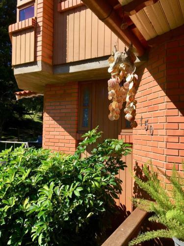 Canela Hostel