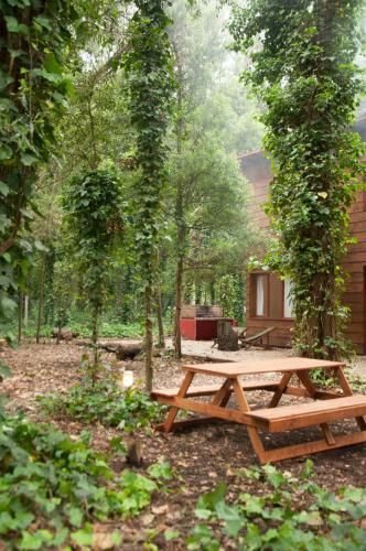 Lodge Caba�as Las Sirenas