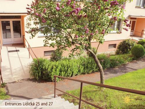 Apartment Slavia