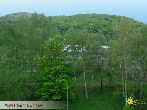Apartment Slavia