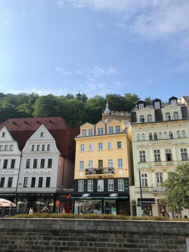Apartm�n Orchidej U Vr�dla