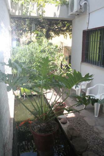 Sosahaus Hostel Mendoza