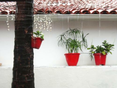 Hostal Pousada Atlantis